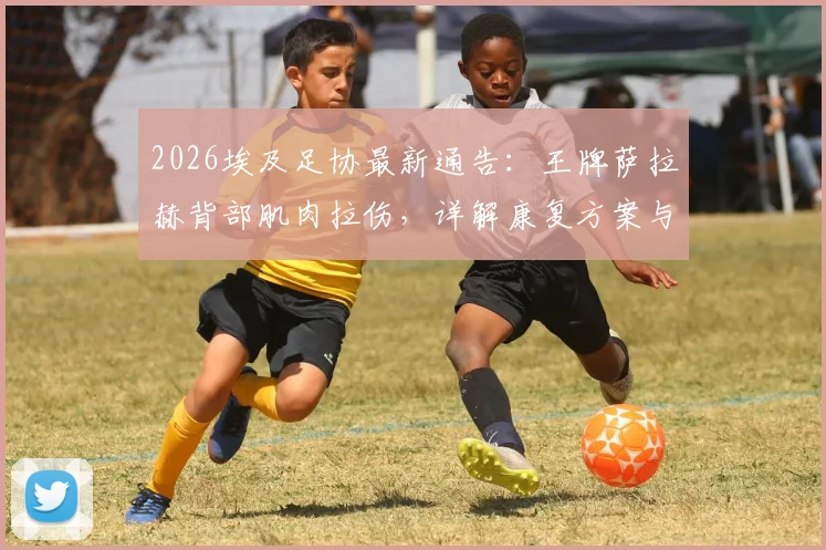 2026埃及足协最新通告：王牌萨拉赫背部肌肉拉伤，详解康复方案与赛事影响